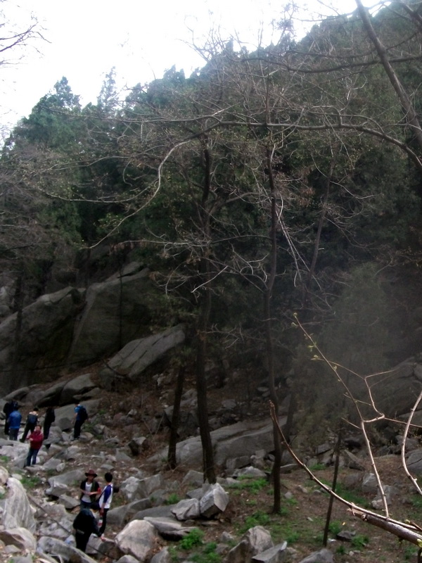 dscf0581.jpg