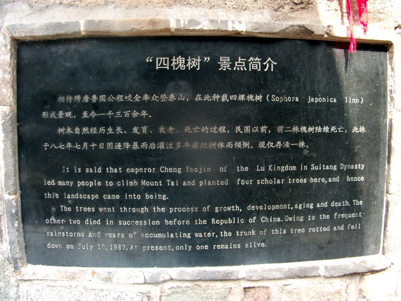 dscf0575.jpg
