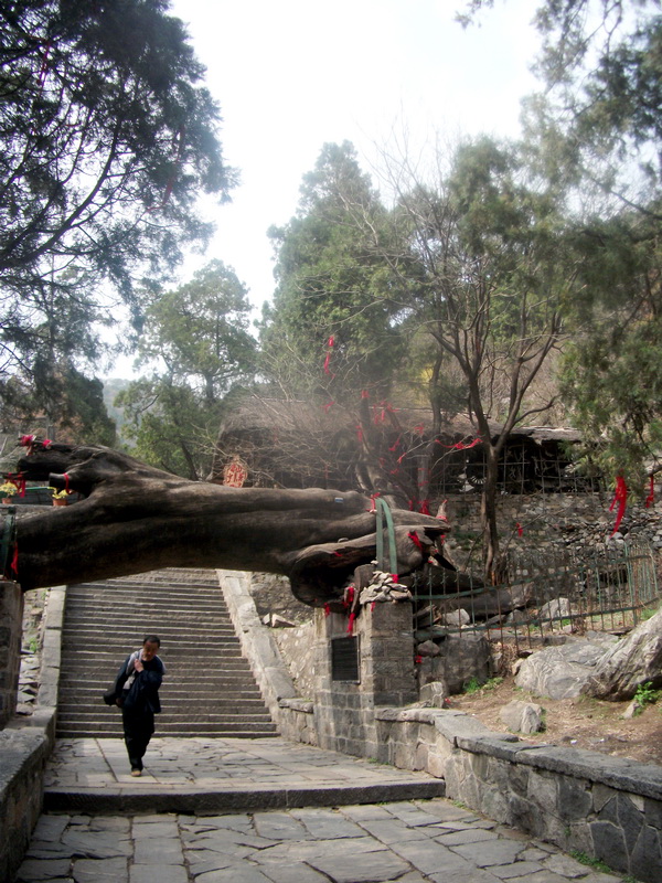 dscf0576.jpg