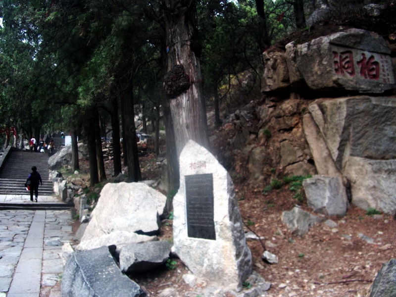 dscf0577.jpg