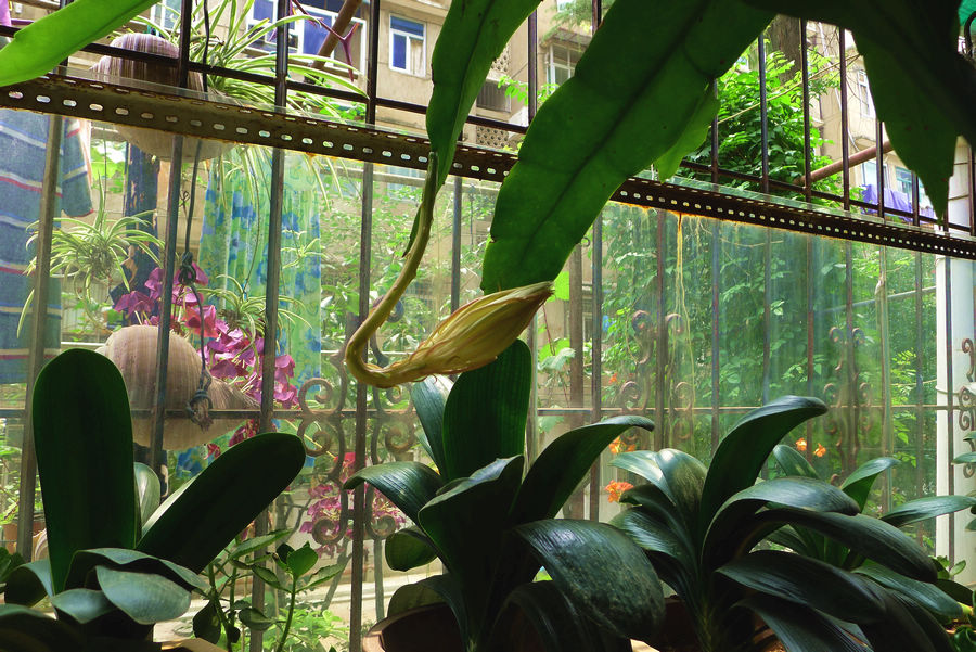 2012-7-18꼻-1.jpg