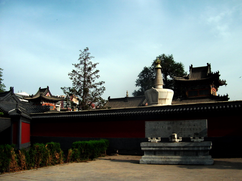 dscf0050.jpg