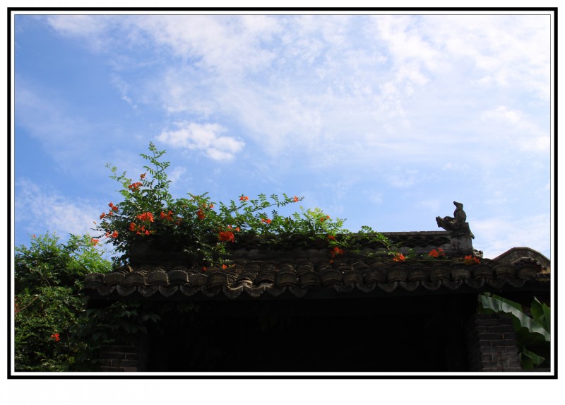 conew_img_4865.jpg