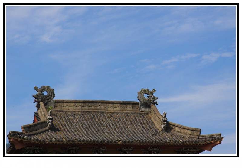 conew_img_4915.jpg