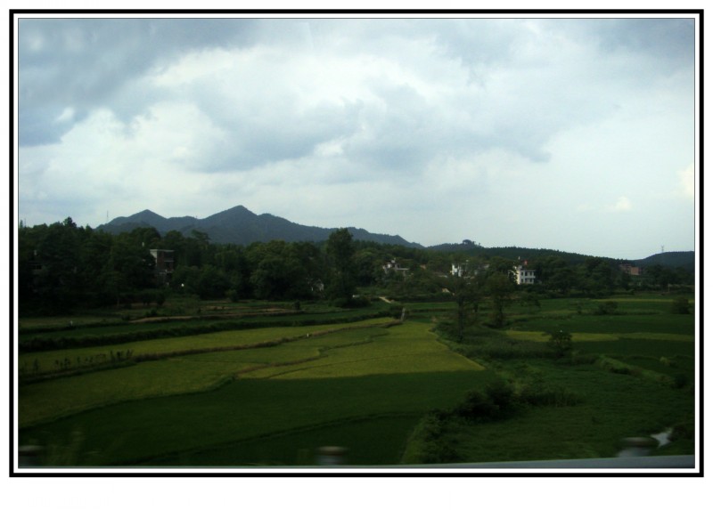 conew_s73f1434.jpg