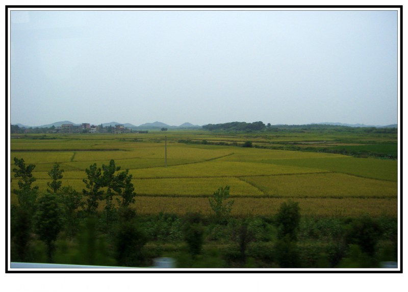 conew_s73f1462.jpg