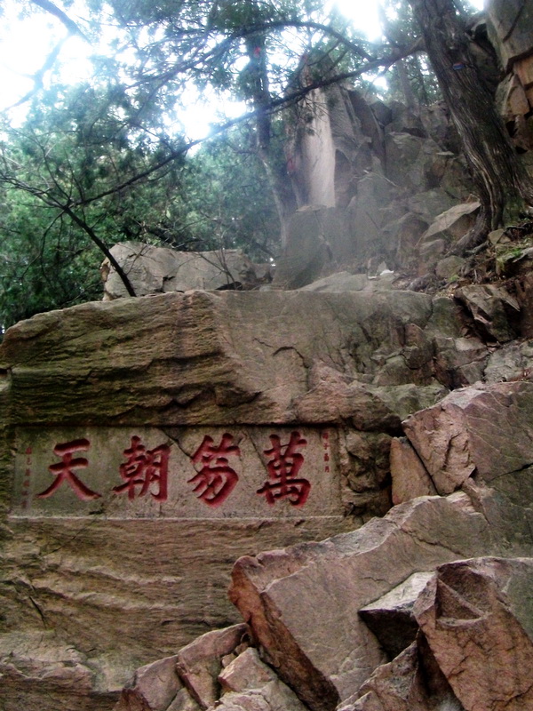 dscf0586.jpg