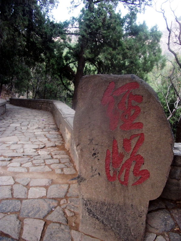 dscf0591.jpg