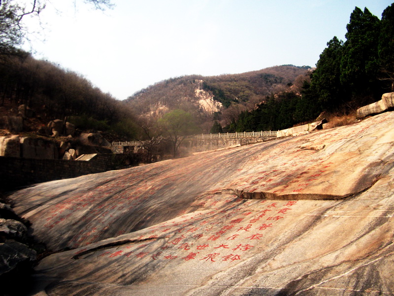 dscf0595.jpg