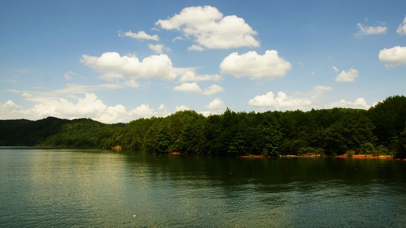 dsc02578.jpg