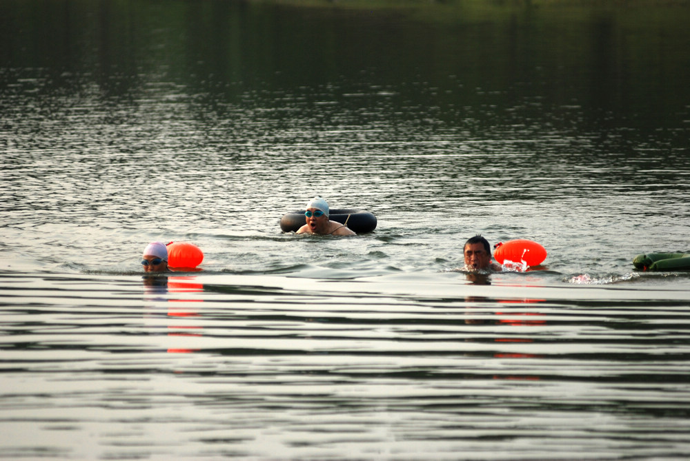 dsc_0090.jpg