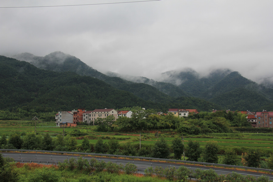 img_0411.jpg