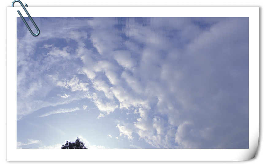 dsc01931_.jpg