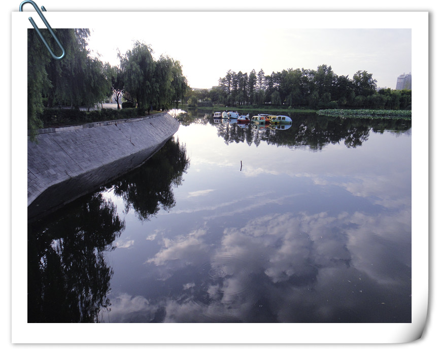dsc01930_.jpg