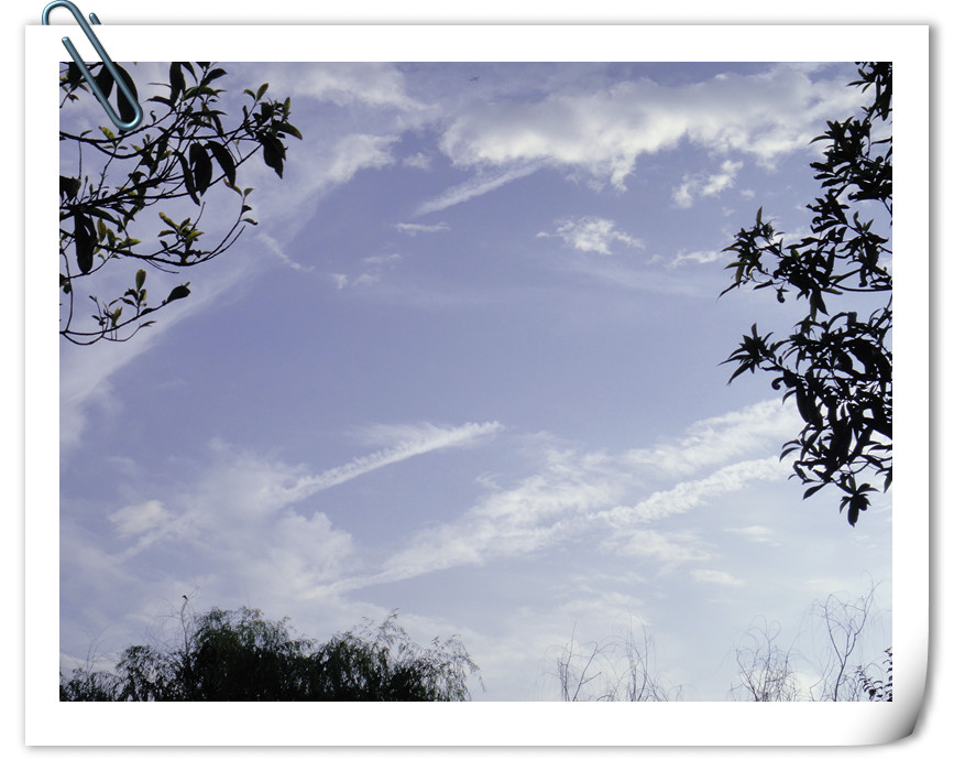 dsc01921_.jpg
