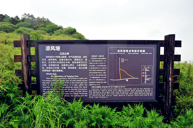 l98.jpg