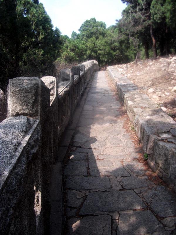 dscf0597.jpg