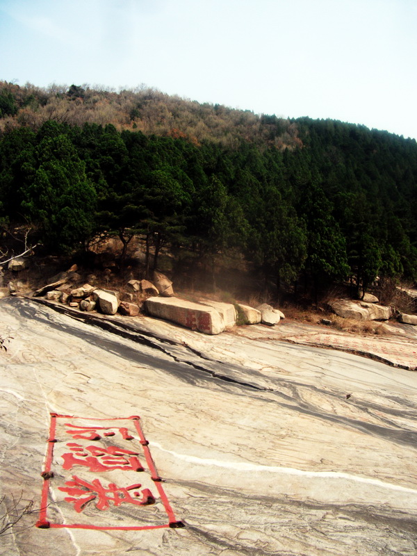 dscf0600.jpg