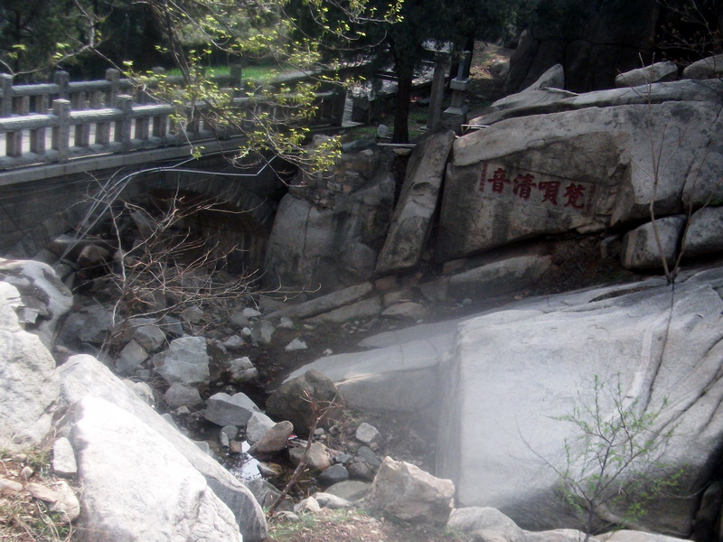 dscf0603.jpg