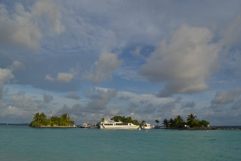 abc 636_conew1.jpg