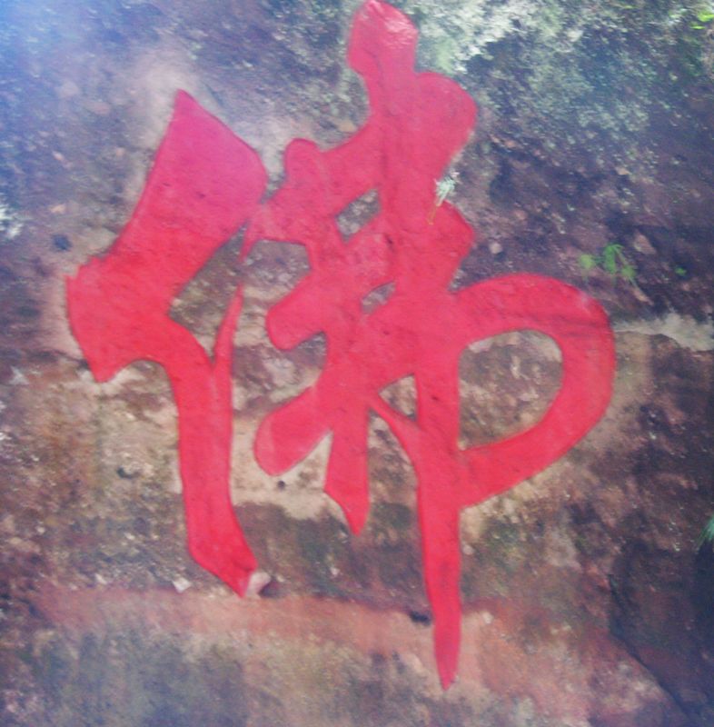 dsc02611.jpg