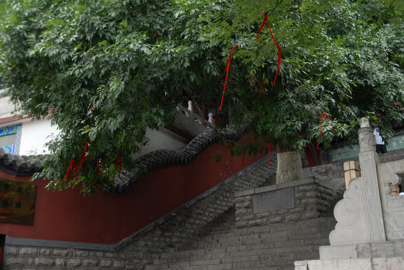 dsc_0135.jpg