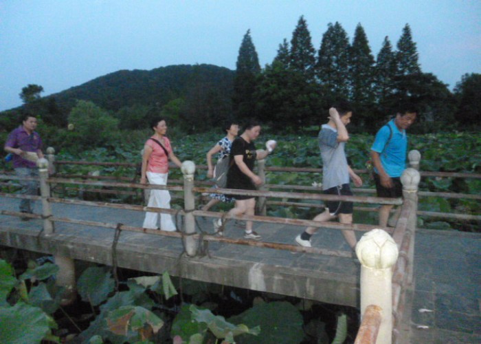 conew_p1050941.jpg