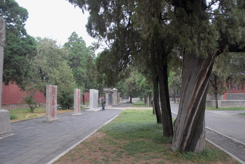 dsc_0423.jpg