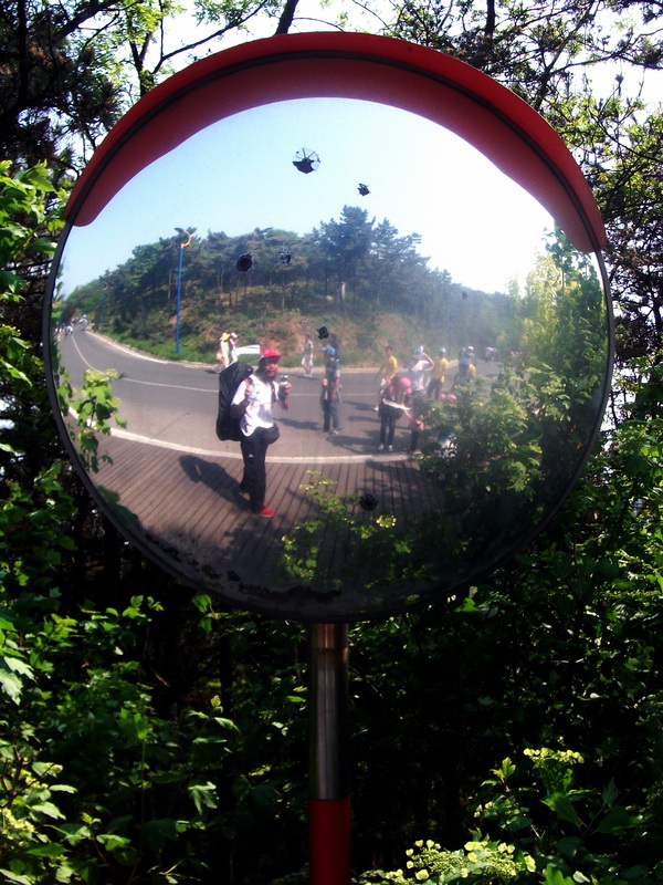 dscf0595.jpg