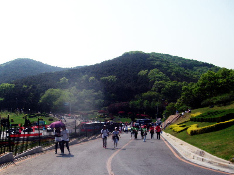 dscf0599.jpg