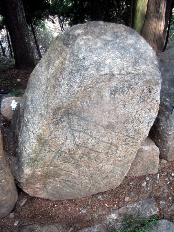 dscf0613.jpg