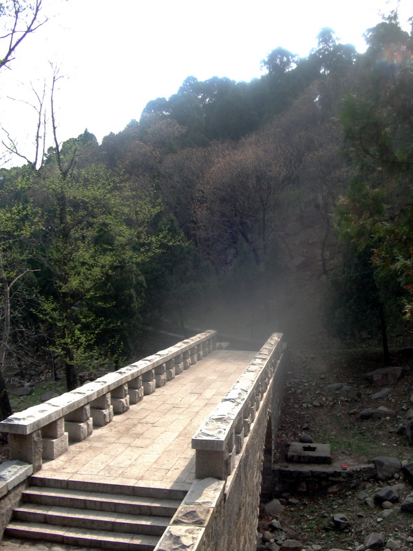 dscf0610.jpg