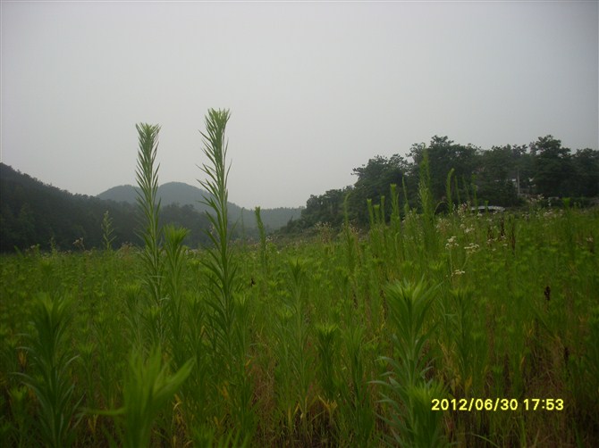 03.jpg