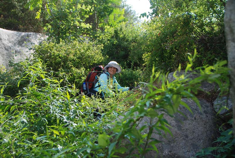 dsc_0951.jpg