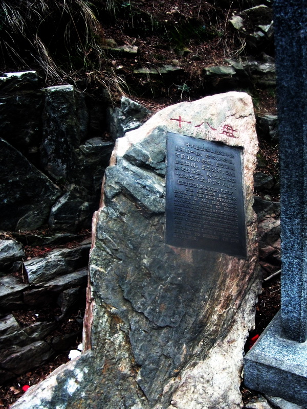 dscf0451.jpg