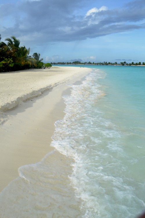 abc 892_conew1.jpg