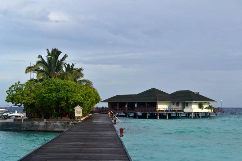 abc 896_conew1.jpg
