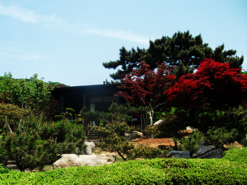 dscf0413.jpg