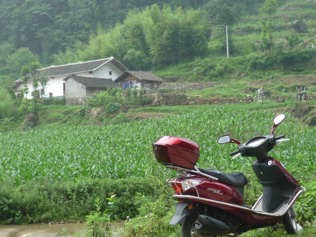 p1080054.jpg