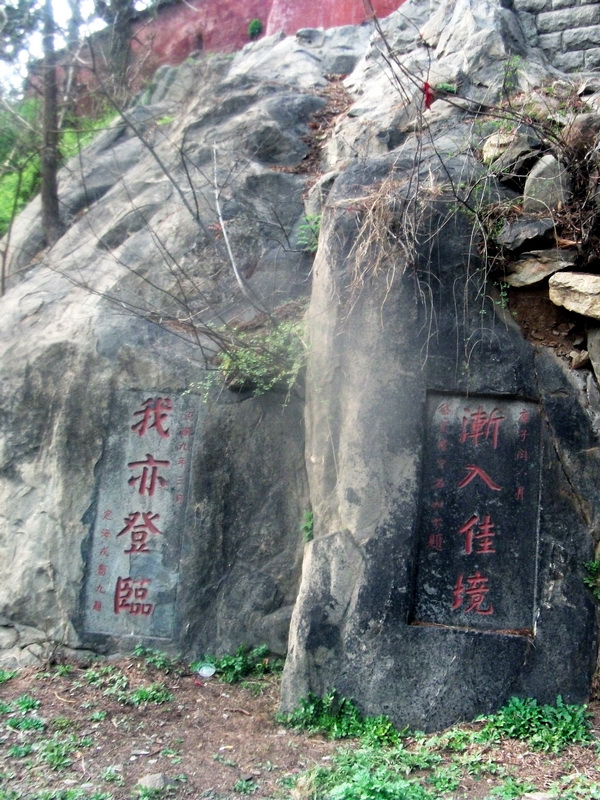 dscf0620.jpg