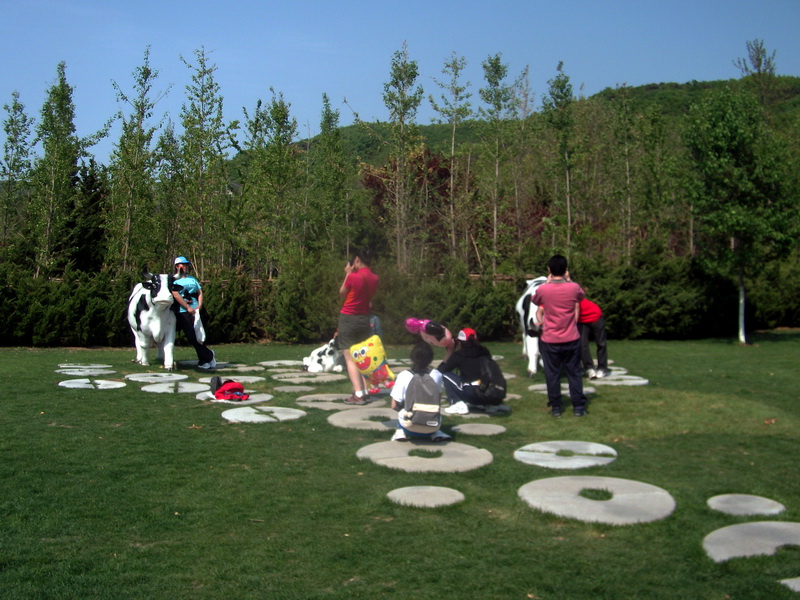dscf0608.jpg
