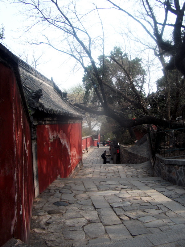 dscf0624.jpg