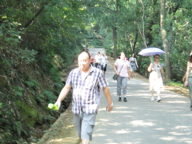 dsc01667.jpg