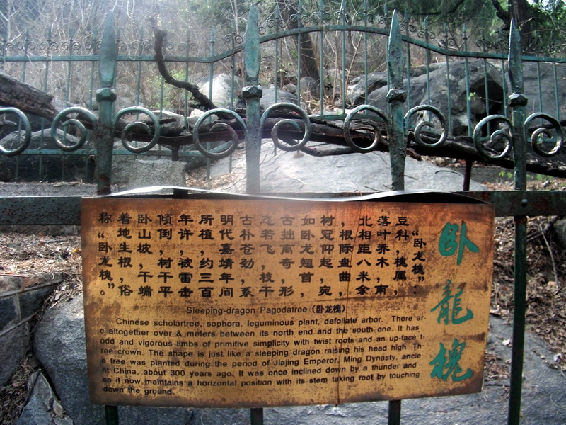 dscf0627.jpg