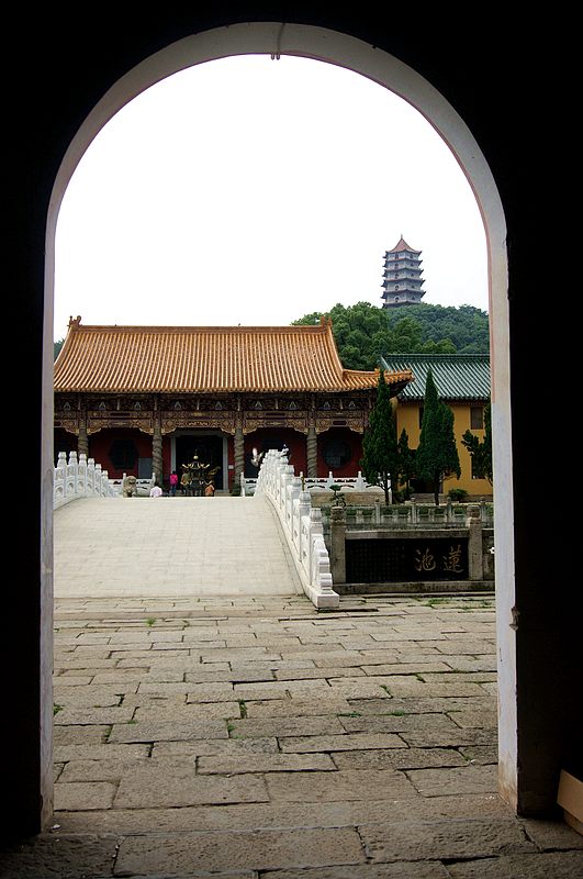 dsc02146.jpg