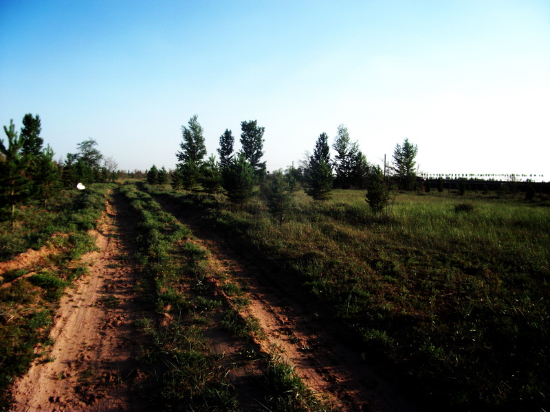 dscf0136.jpg