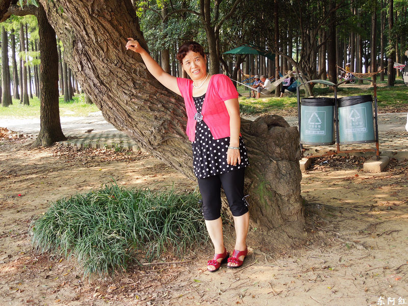 dscn0363.jpg