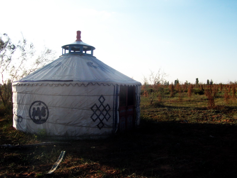 dscf0139.jpg