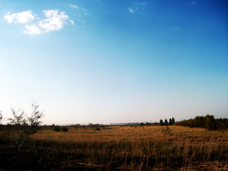 dscf0140.jpg
