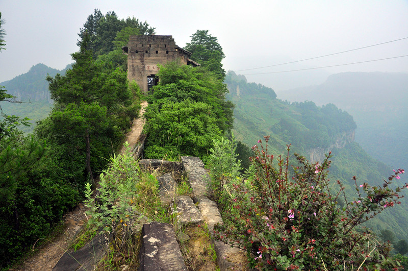_dsc0257_.jpg